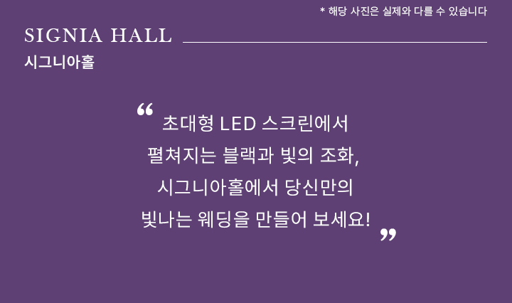 노비아 그랜드 홀 컨셉